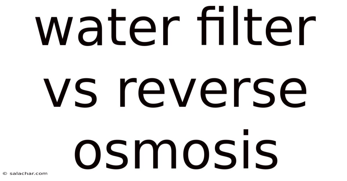 Water Filter Vs Reverse Osmosis