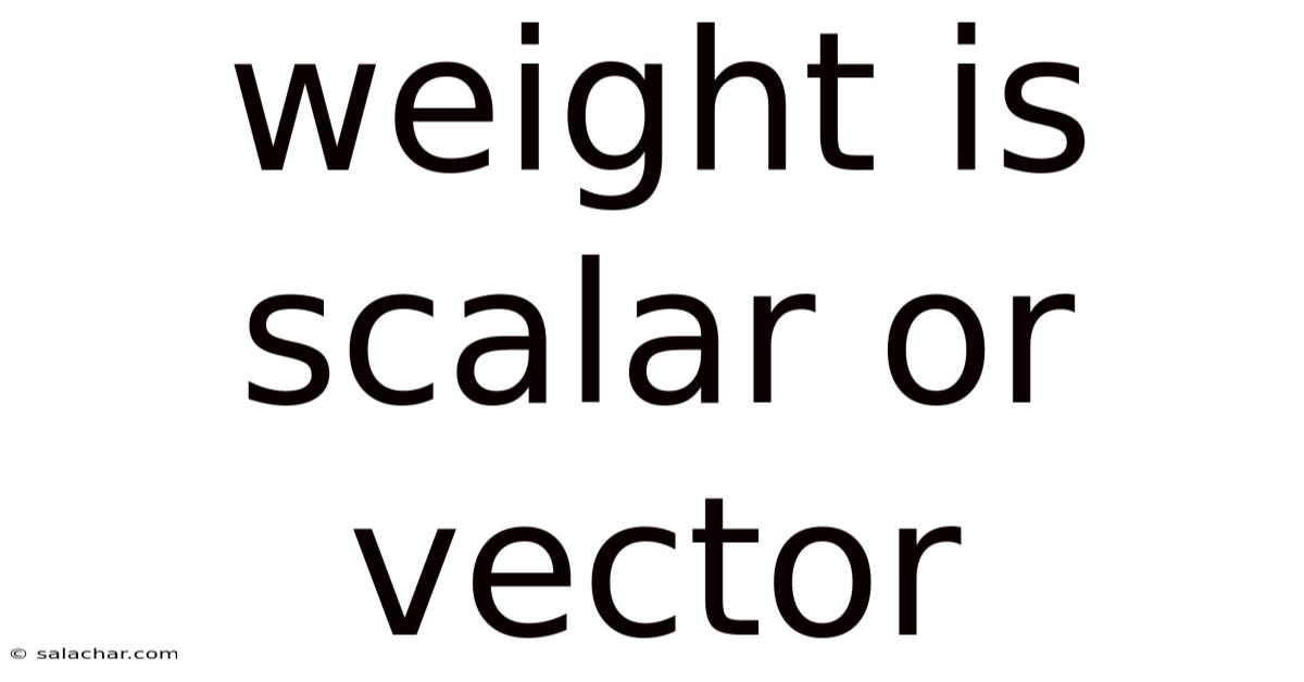 Weight Is Scalar Or Vector
