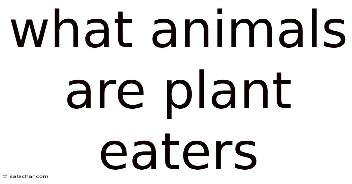 What Animals Are Plant Eaters