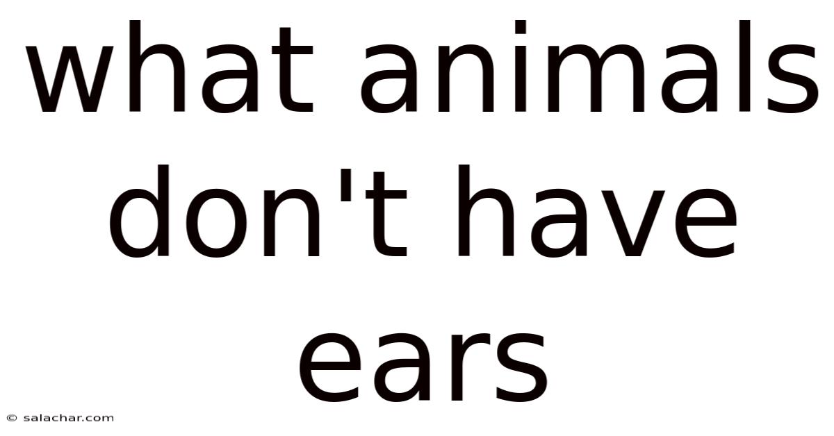 What Animals Don't Have Ears