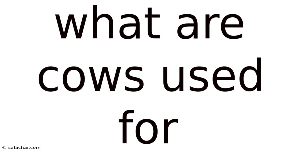 What Are Cows Used For