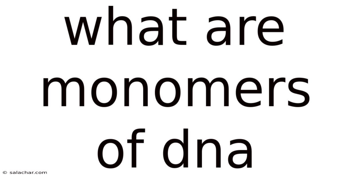 What Are Monomers Of Dna