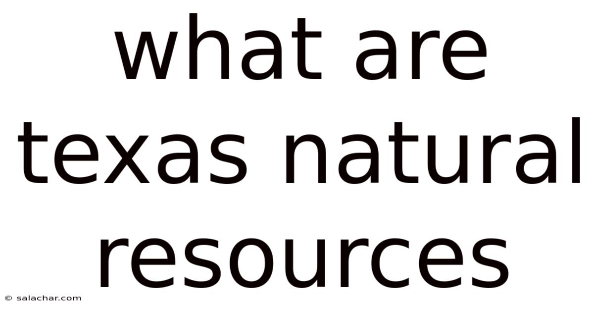 What Are Texas Natural Resources