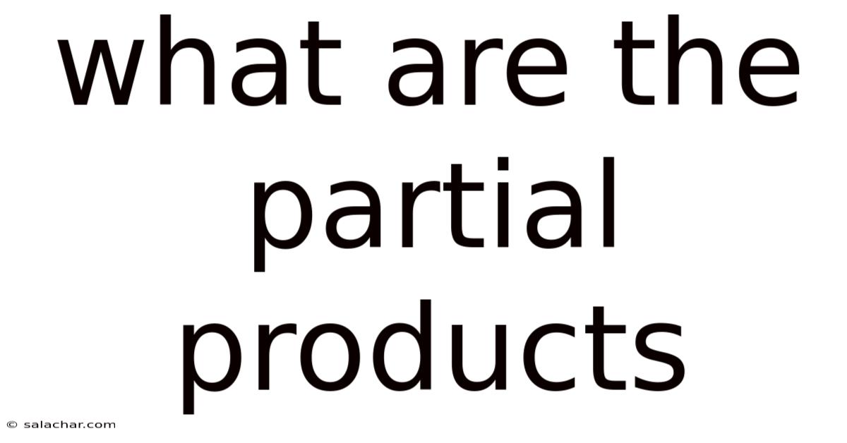 What Are The Partial Products
