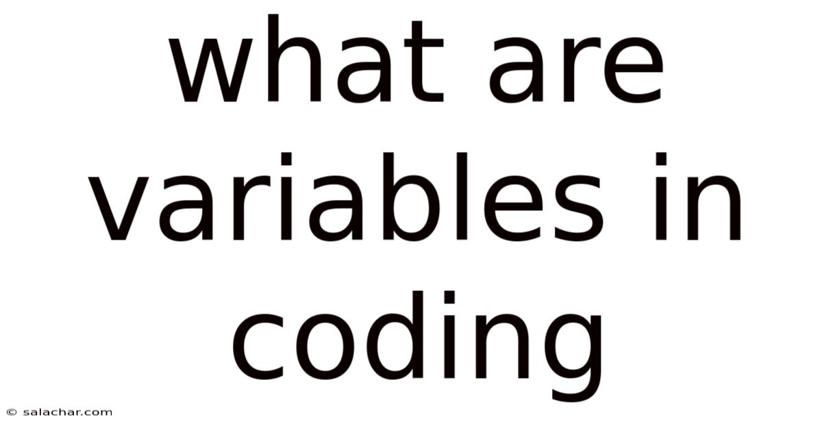 What Are Variables In Coding