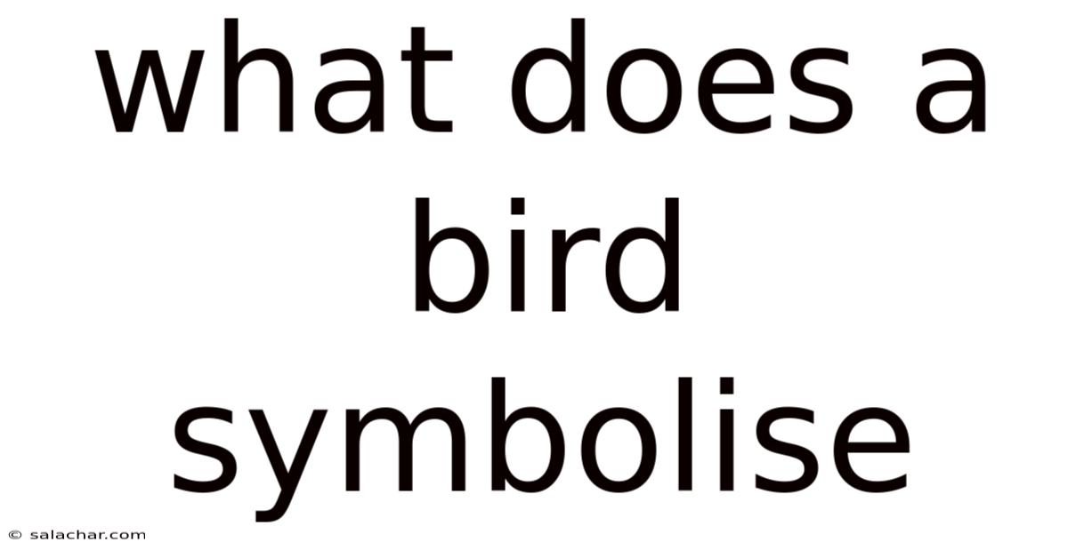 What Does A Bird Symbolise