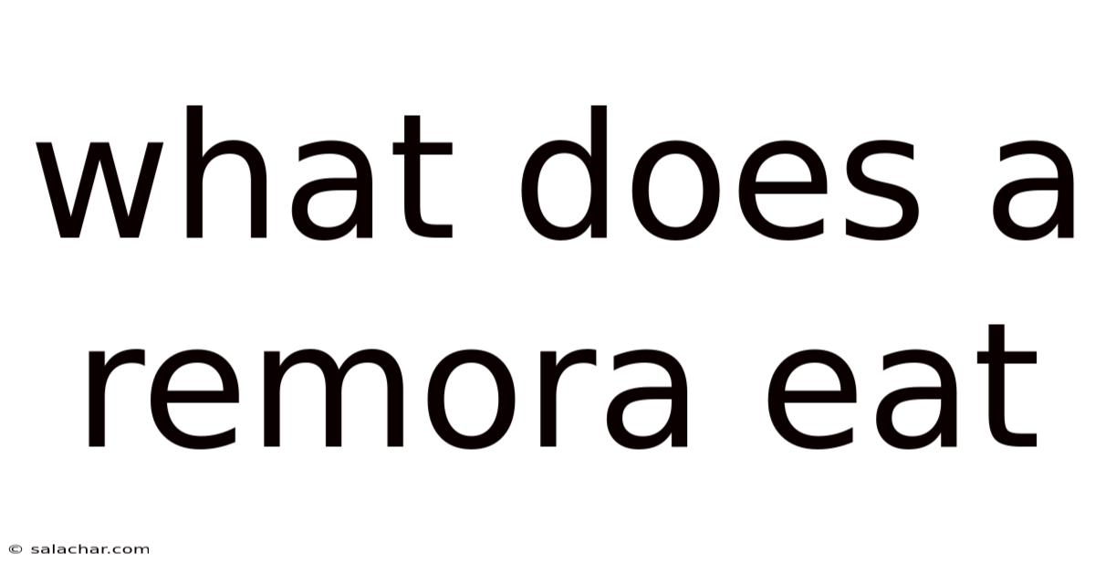 What Does A Remora Eat