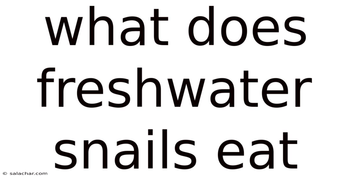 What Does Freshwater Snails Eat