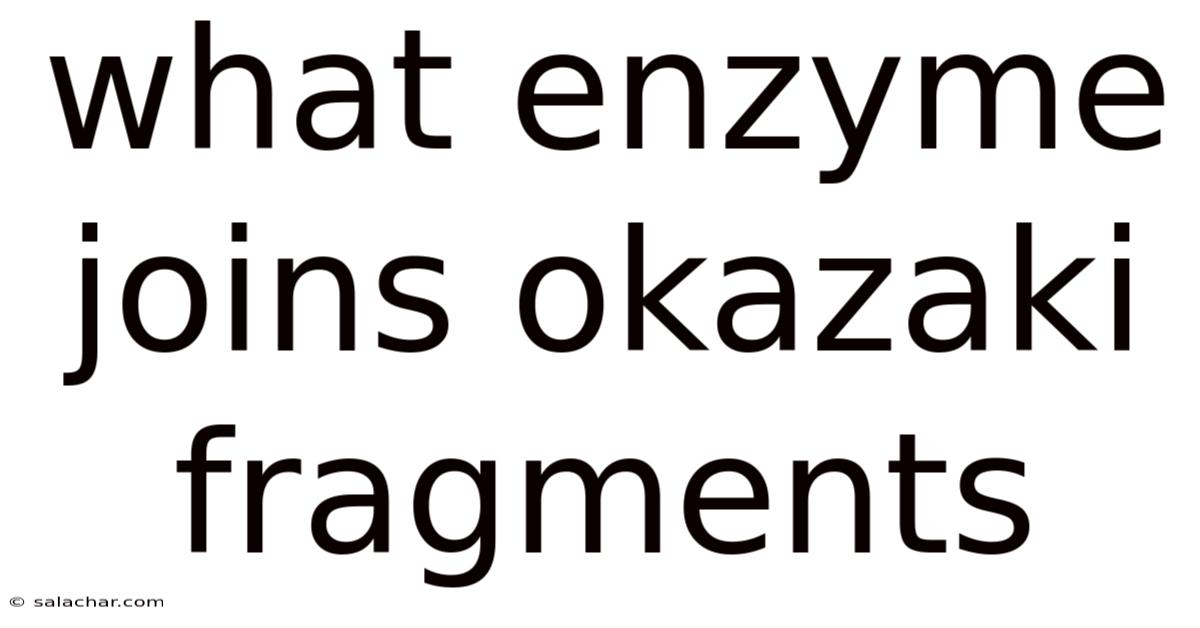 What Enzyme Joins Okazaki Fragments