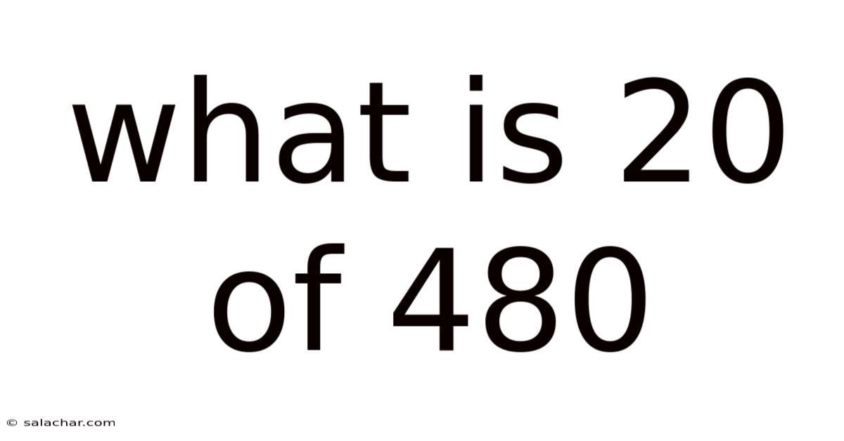 What Is 20 Of 480