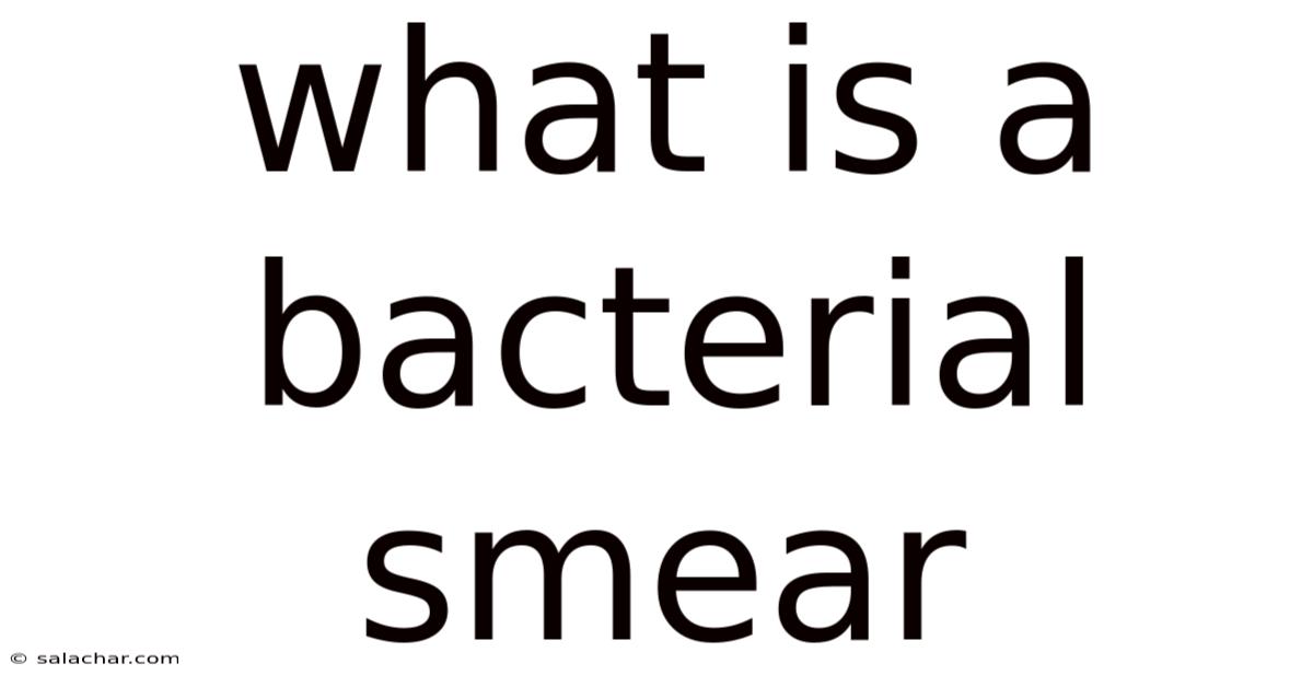 What Is A Bacterial Smear