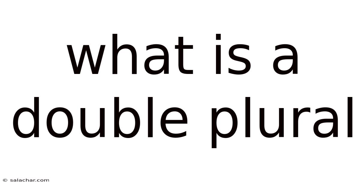 What Is A Double Plural