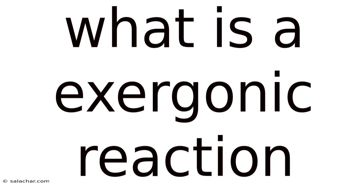 What Is A Exergonic Reaction