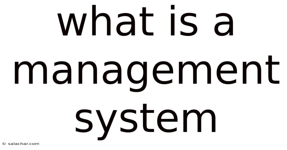 What Is A Management System