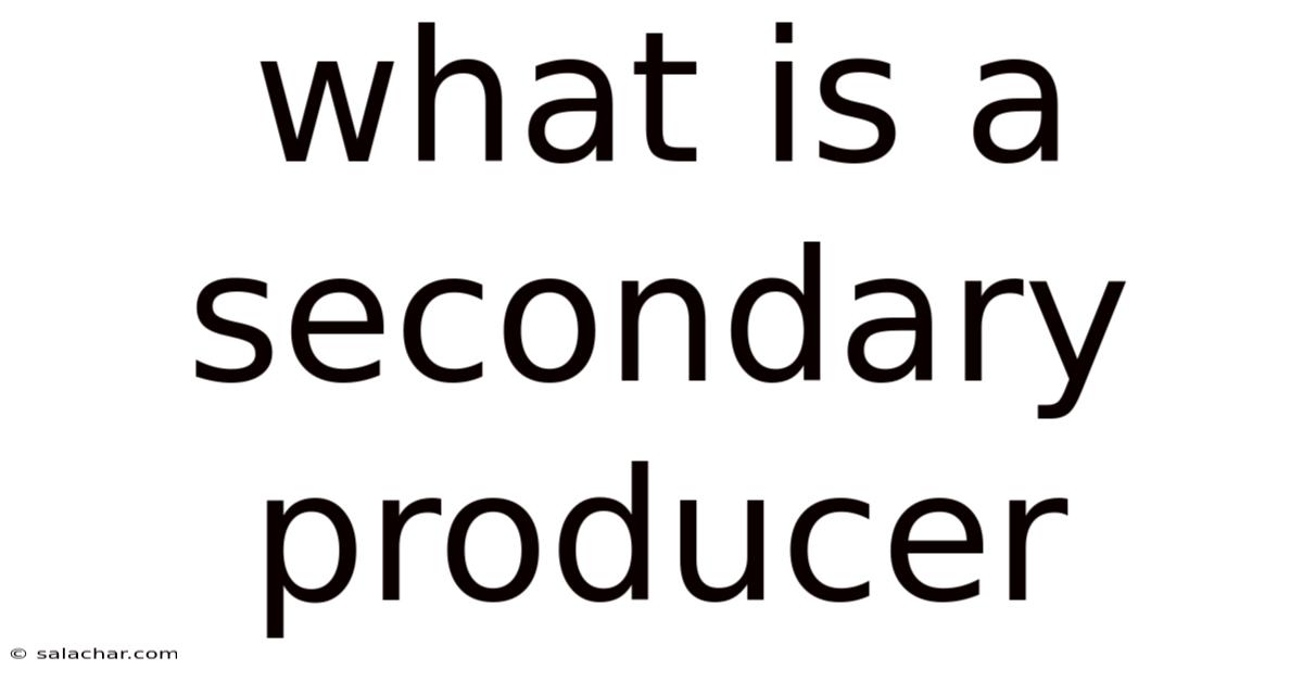 What Is A Secondary Producer