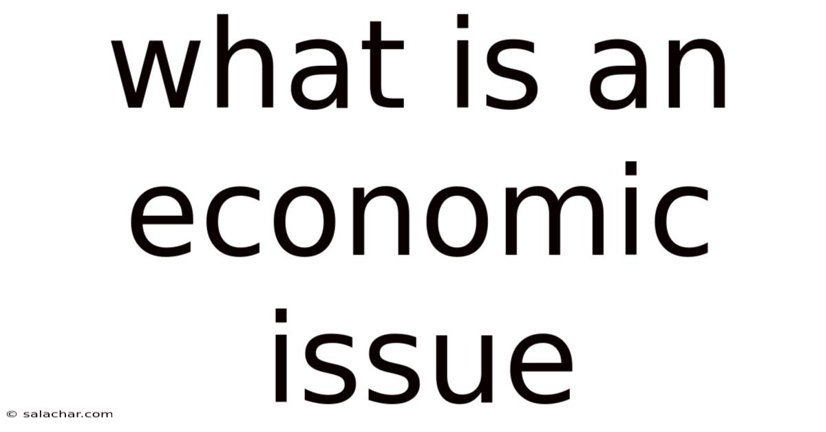 What Is An Economic Issue