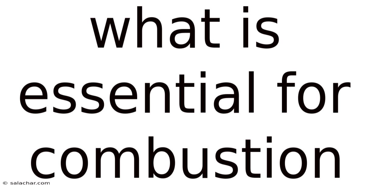 What Is Essential For Combustion