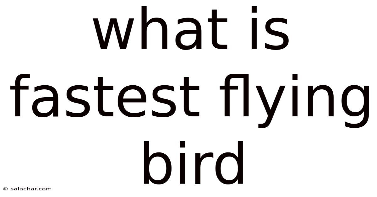 What Is Fastest Flying Bird