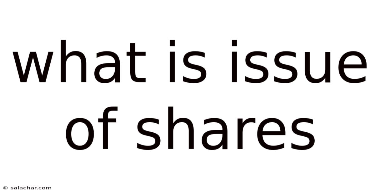 What Is Issue Of Shares