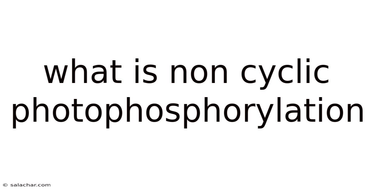 What Is Non Cyclic Photophosphorylation