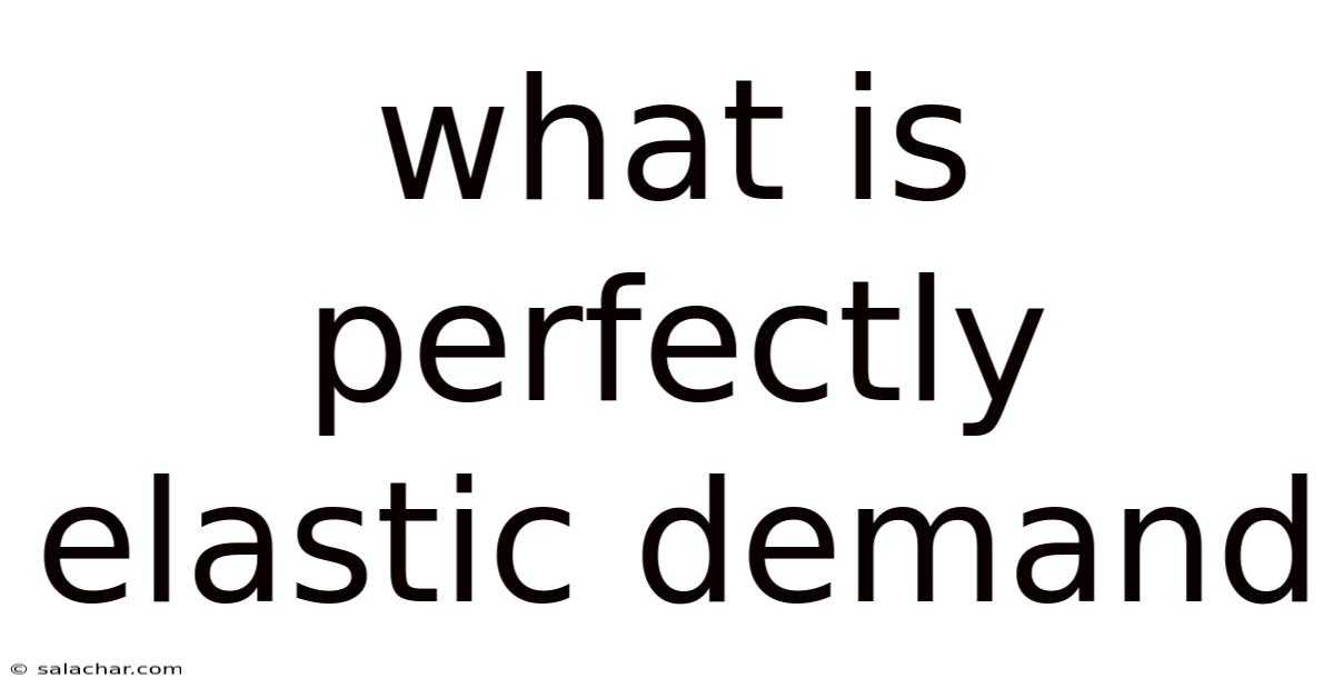 What Is Perfectly Elastic Demand