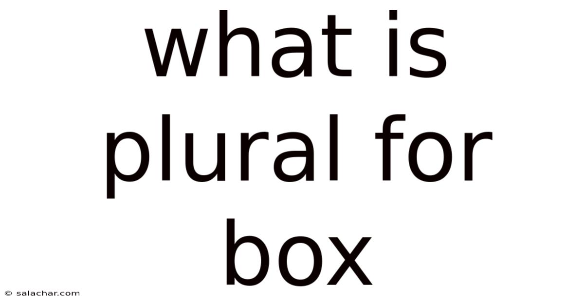 What Is Plural For Box