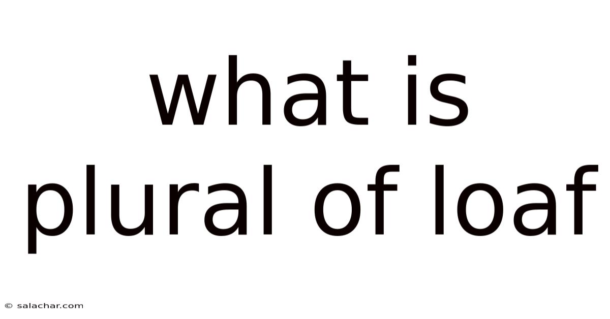 What Is Plural Of Loaf