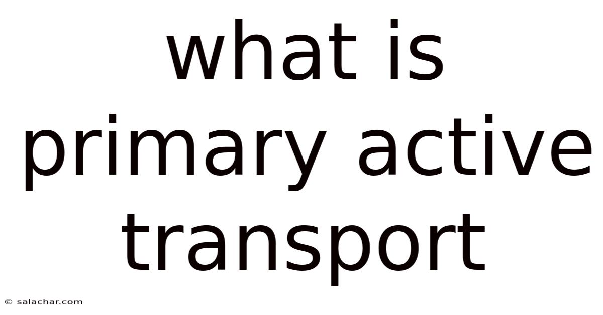 What Is Primary Active Transport