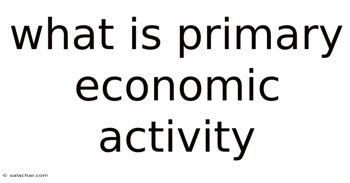What Is Primary Economic Activity