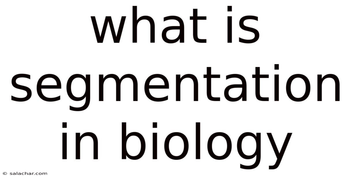 What Is Segmentation In Biology
