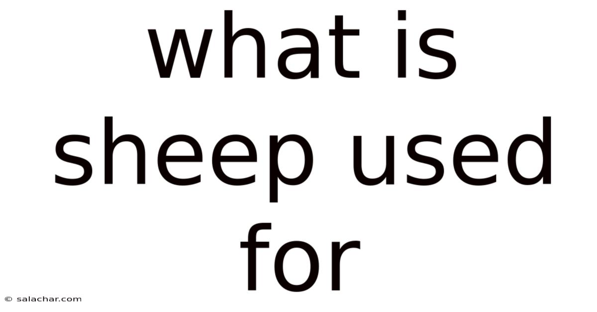 What Is Sheep Used For