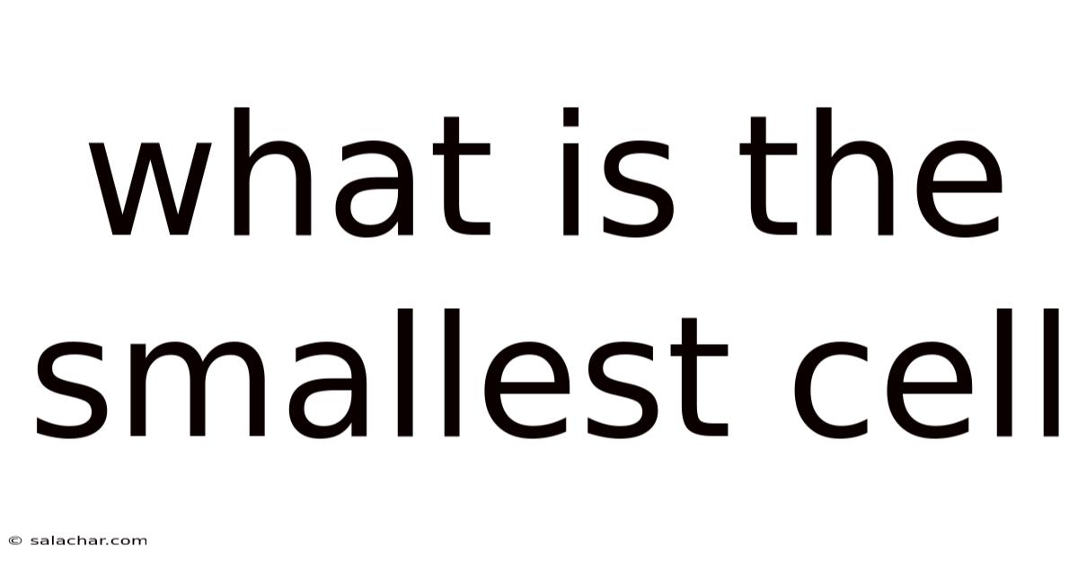 What Is The Smallest Cell