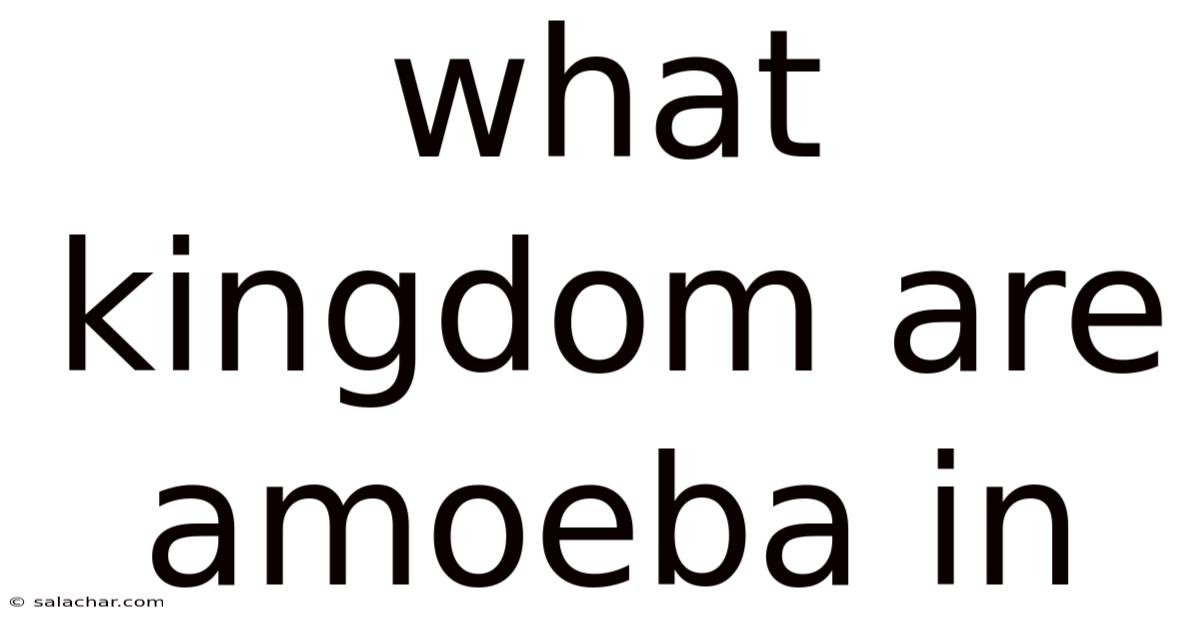 What Kingdom Are Amoeba In