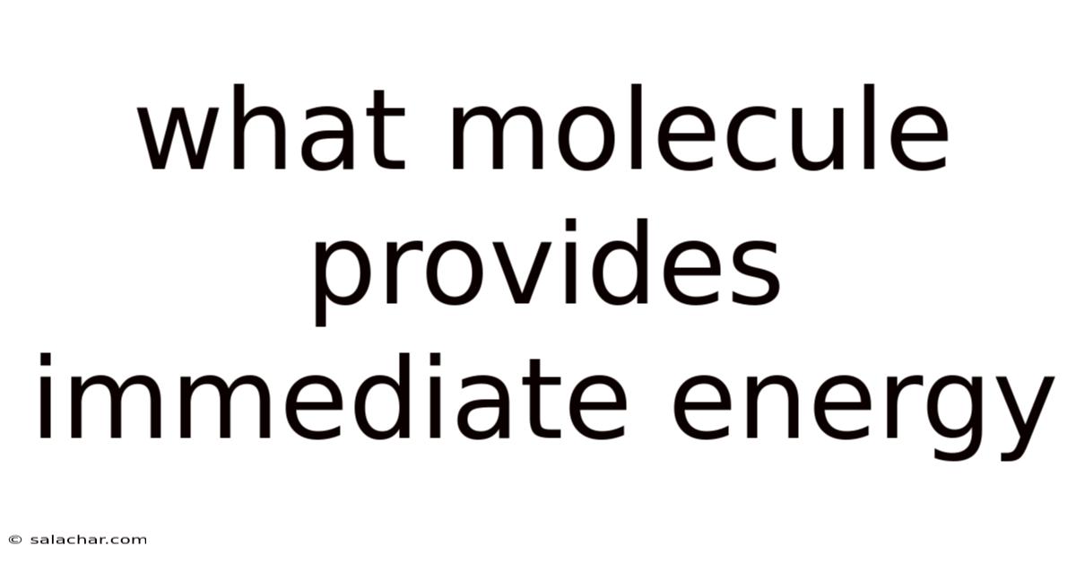 What Molecule Provides Immediate Energy
