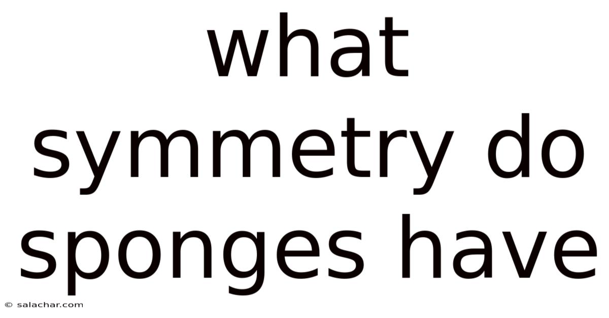What Symmetry Do Sponges Have