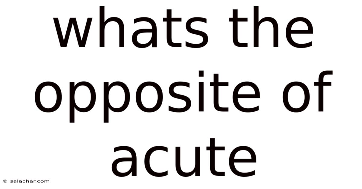 Whats The Opposite Of Acute