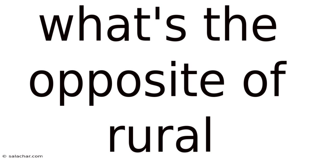 What's The Opposite Of Rural