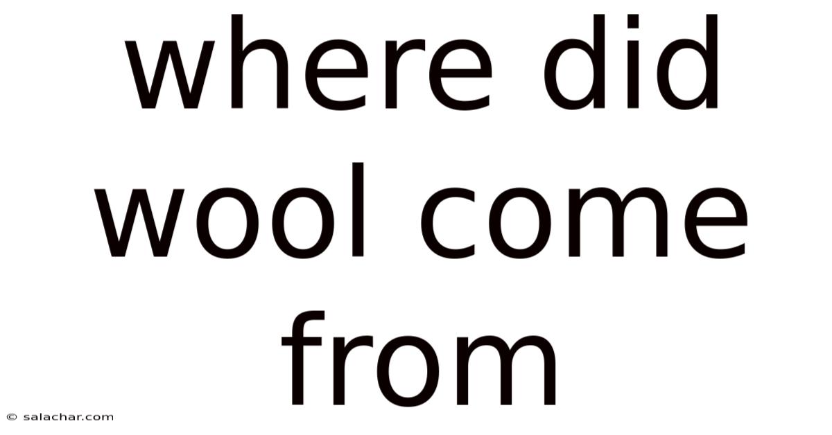 Where Did Wool Come From