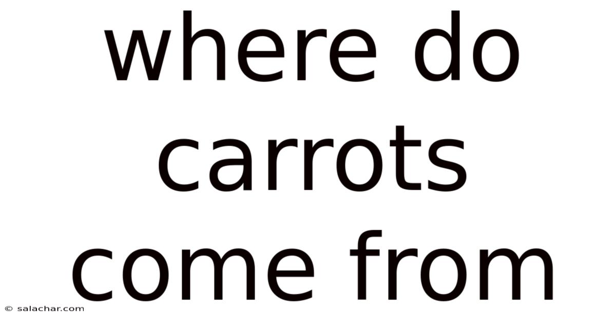 Where Do Carrots Come From