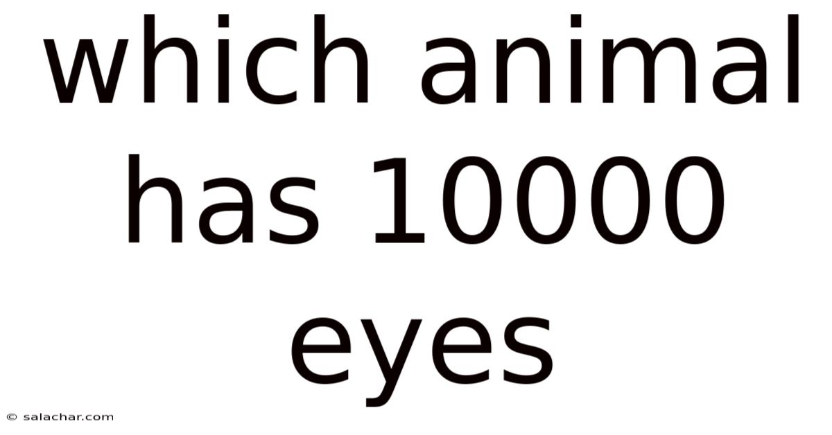 Which Animal Has 10000 Eyes