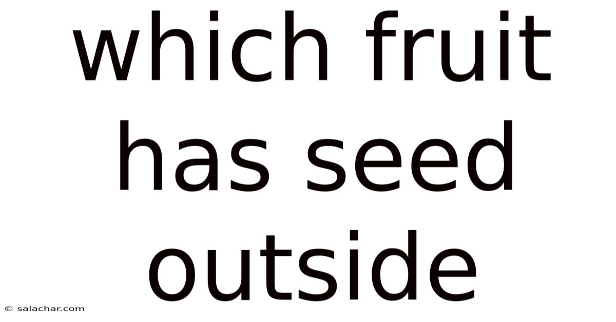 Which Fruit Has Seed Outside