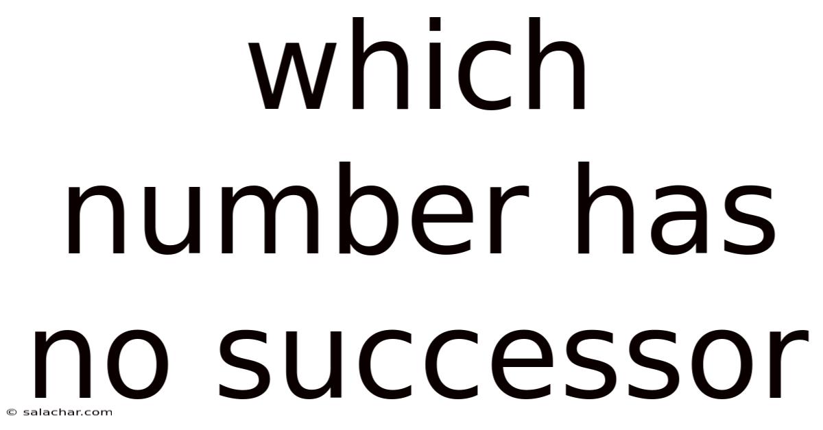 Which Number Has No Successor