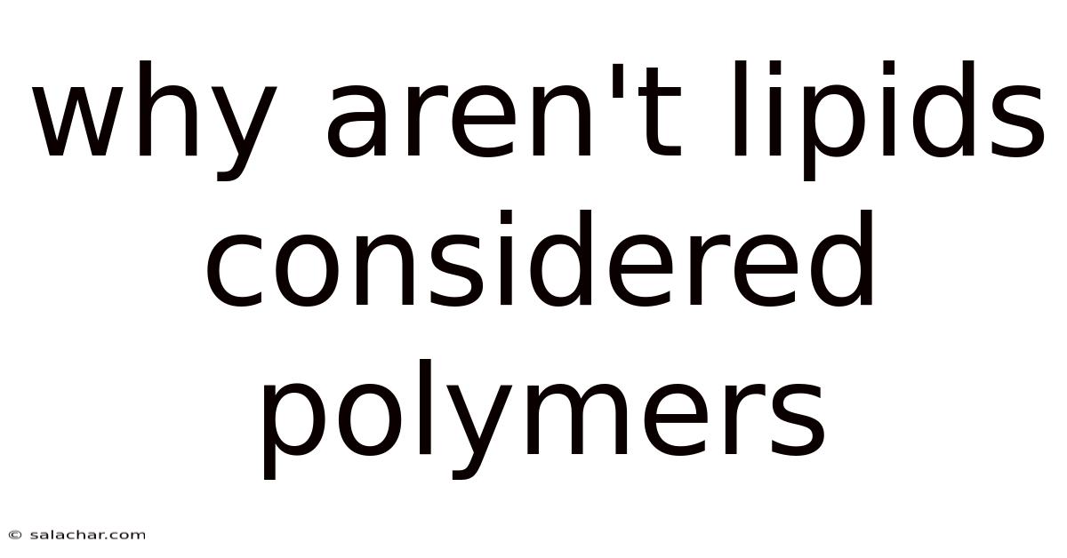 Why Are Lipids Not True Polymers