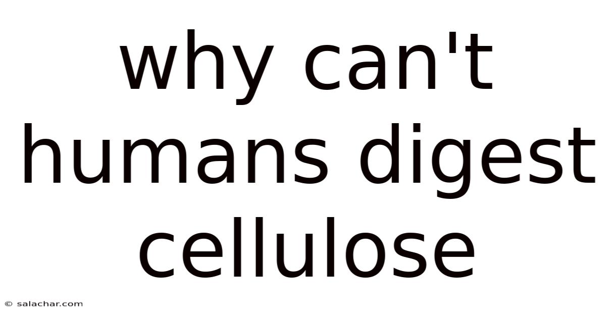 Why Can't Humans Digest Cellulose