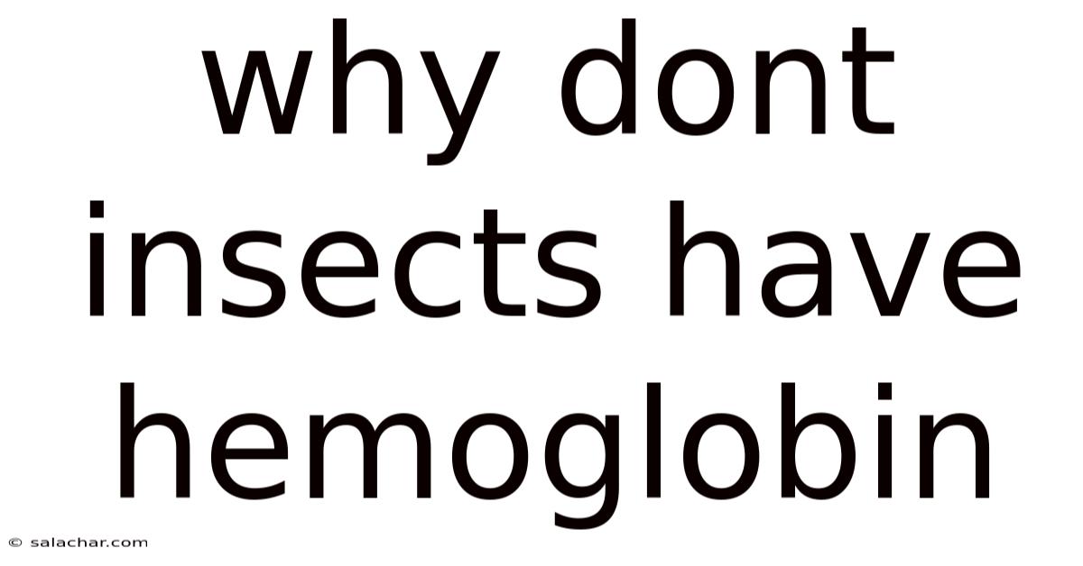 Why Dont Insects Have Hemoglobin