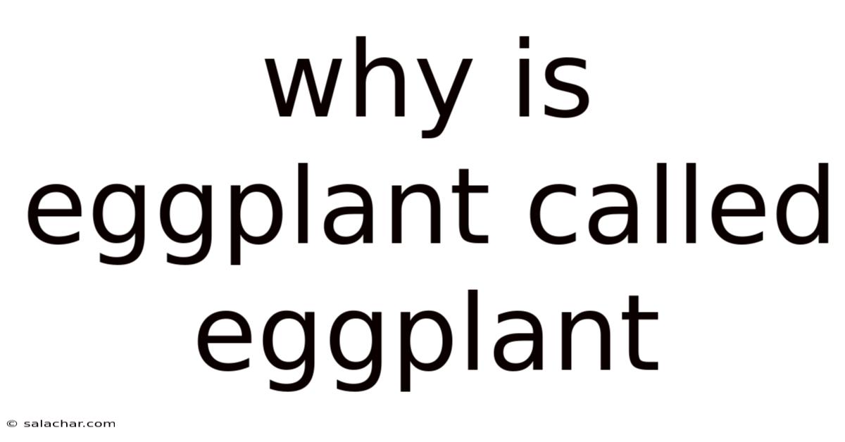 Why Is Eggplant Called Eggplant